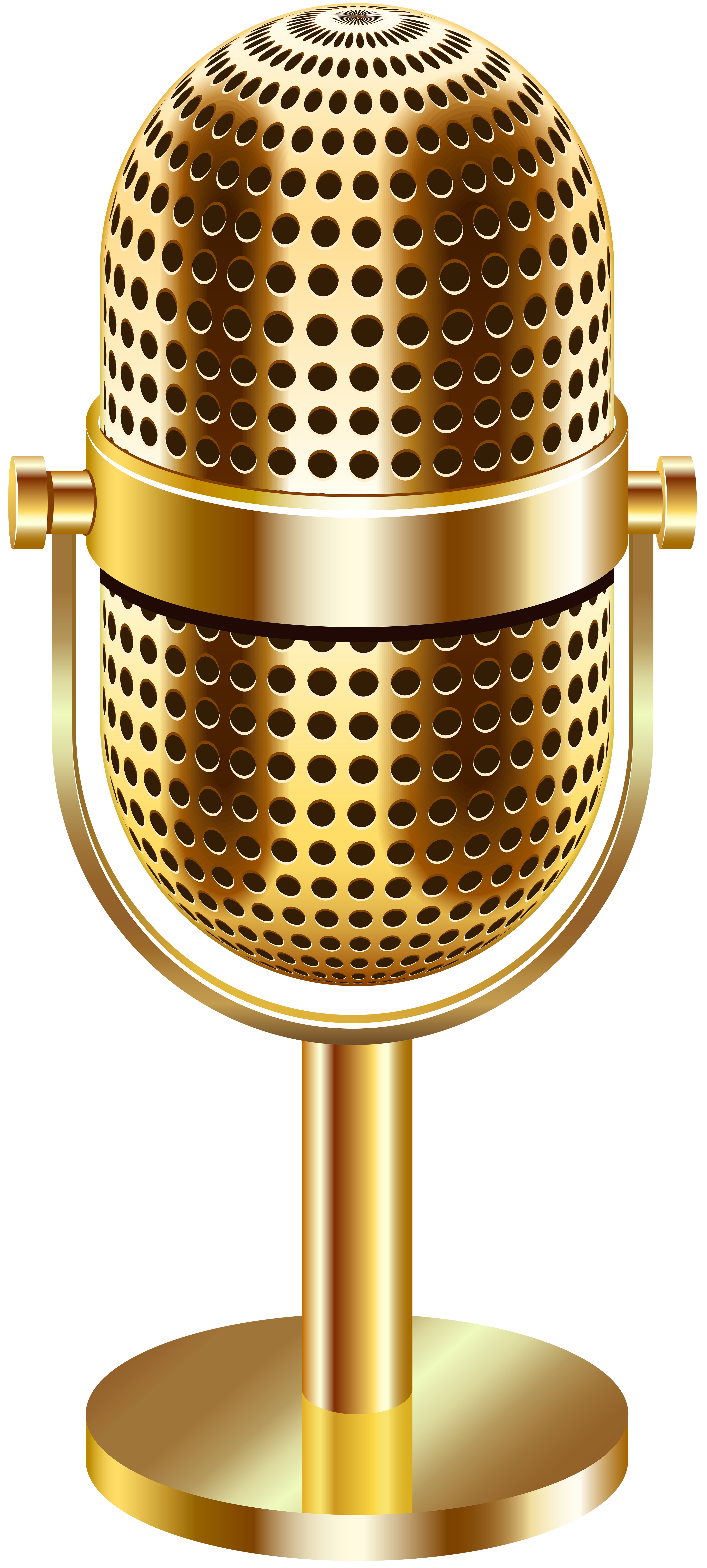 mic image